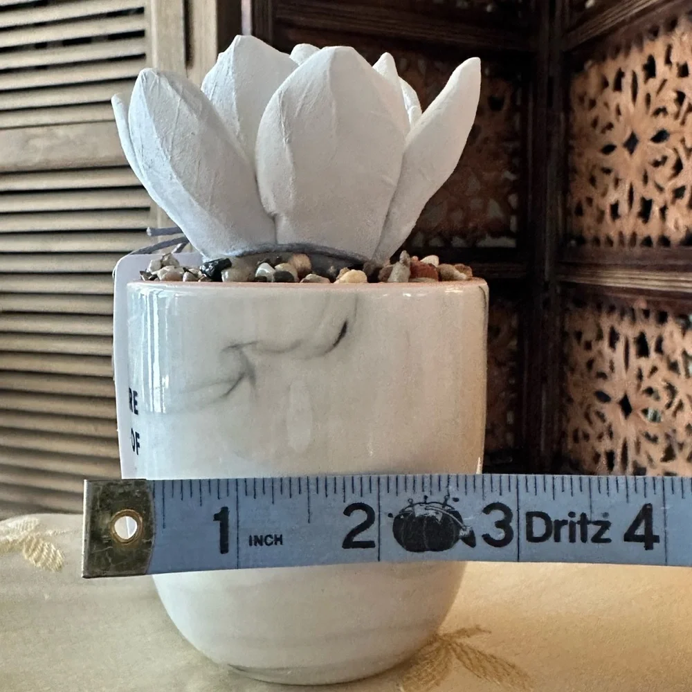 Demdaco Succulent Stoneware Essential Oil Diffuser. You Are Made Of Magic.